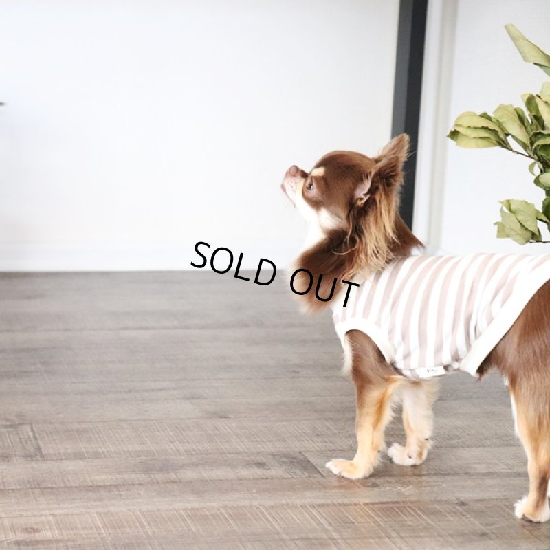 画像2: UVカット生地のボーダータンクトップ（モカ×オフホワイト） (2)