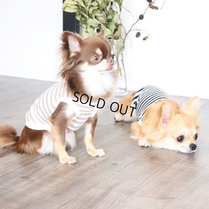 画像3: UVカット生地のボーダータンクトップ（モカ×オフホワイト） (3)