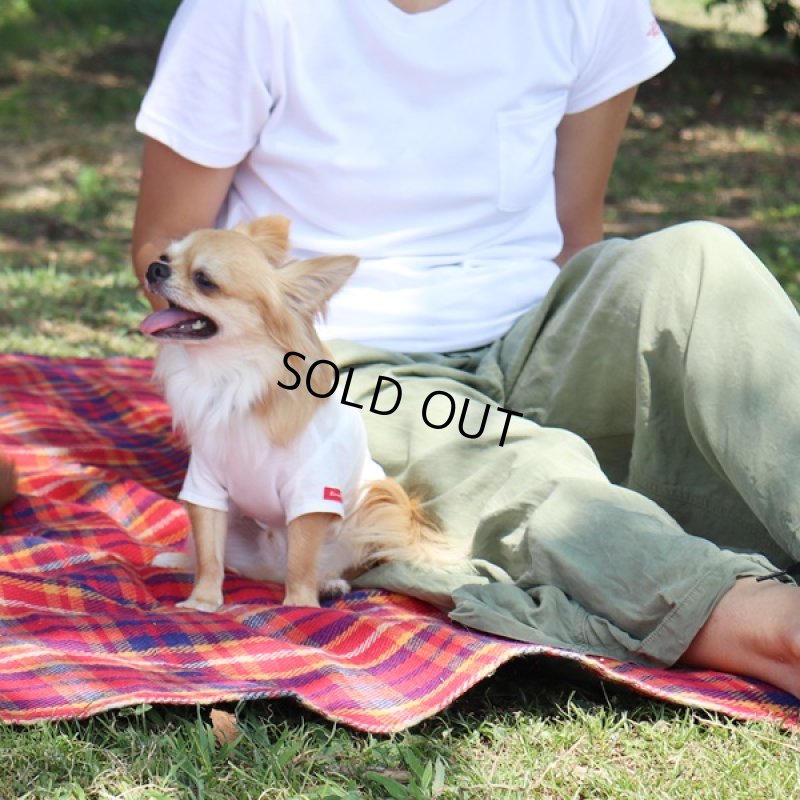 画像17: [完成品] 蚊よけ生地のTシャツ（ダークグレーカモフラポケット×ホワイト） (17)