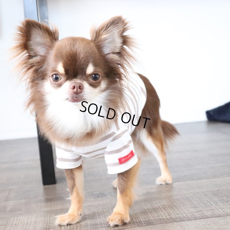 画像2: UVカット生地のTシャツ（モカ×オフホワイト） (2)