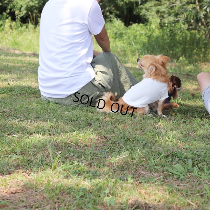 画像16: [完成品] 蚊よけ生地のTシャツ（ダークグレーカモフラポケット×ホワイト） (16)