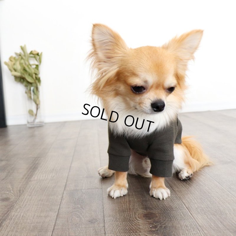 画像3: 【再販売】ヴィンテージ風トレーナー（カーキ） (3)