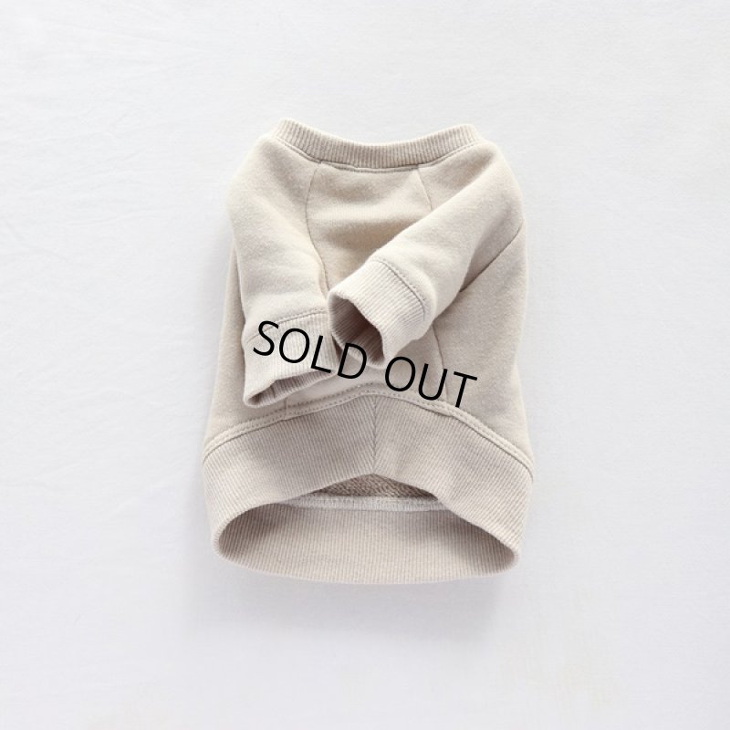 画像9: 【再販売】ヴィンテージ風トレーナー（グレージュ） (9)