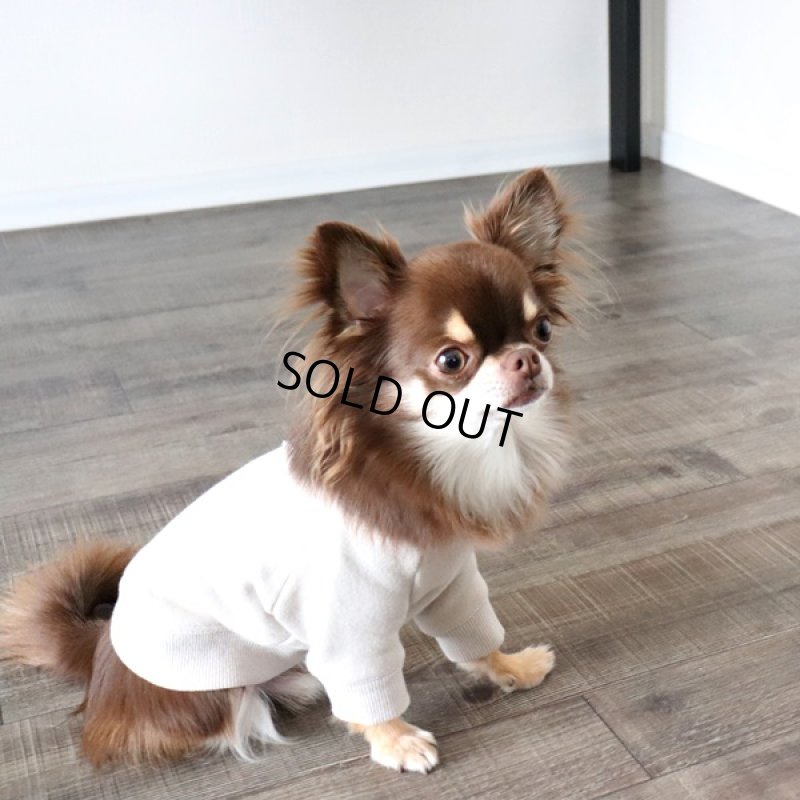 画像3: 【再販売】ヴィンテージ風トレーナー（グレージュ） (3)