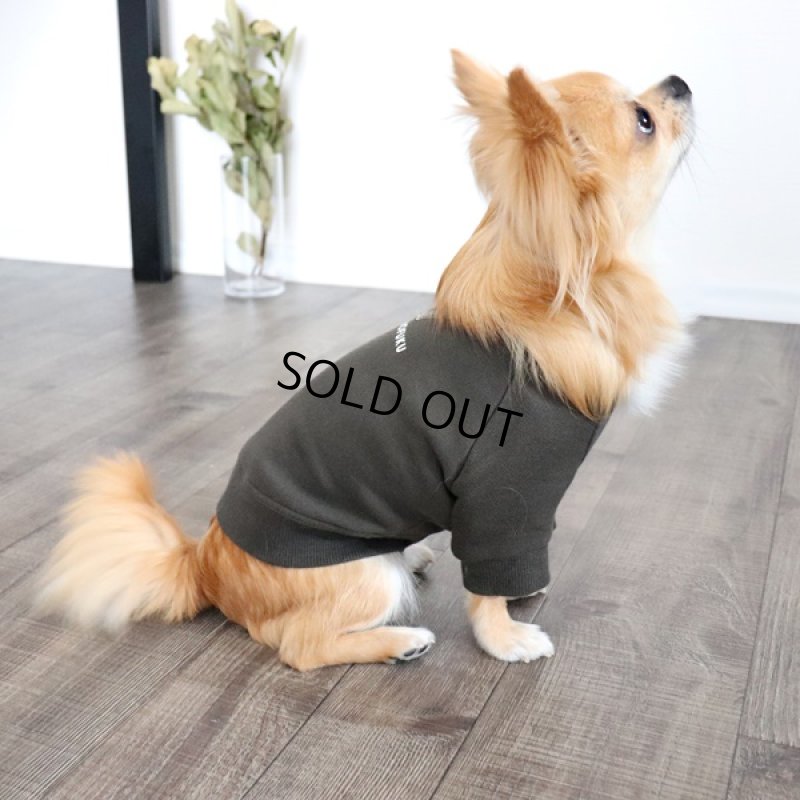 画像4: 【再販売】ヴィンテージ風トレーナー（カーキ） (4)