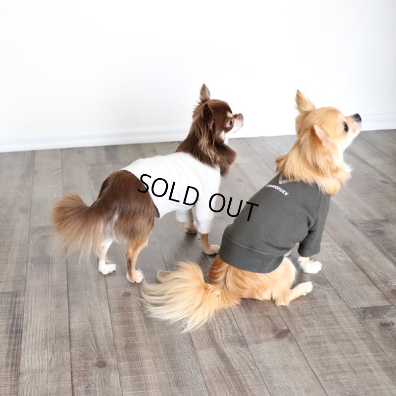 画像6: 【再販売】ヴィンテージ風トレーナー（グレージュ） (6)