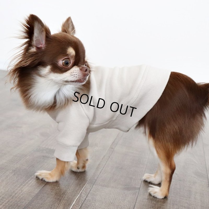 画像2: 【再販売】ヴィンテージ風トレーナー（グレージュ） (2)