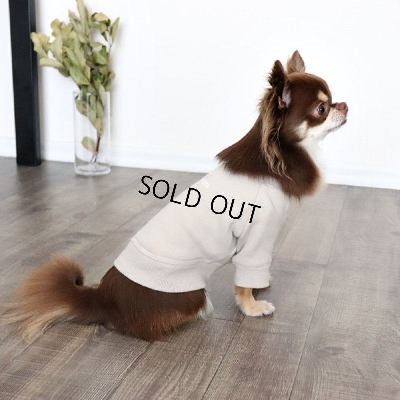 画像4: 【再販売】ヴィンテージ風トレーナー（グレージュ） (4)