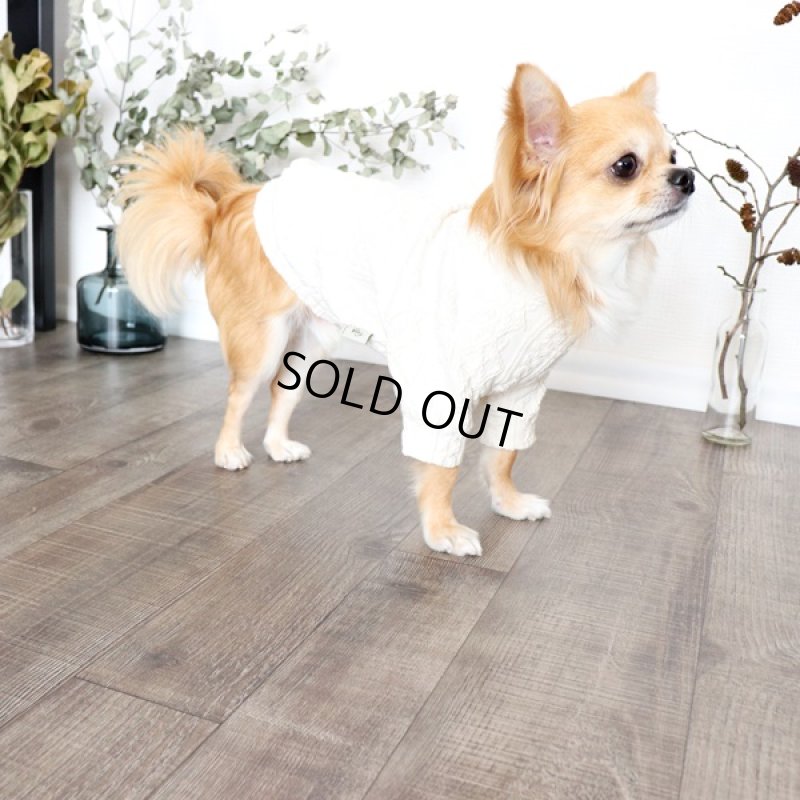 画像5: 【再販売】アランニットのハイネックカットソー（生成り） (5)