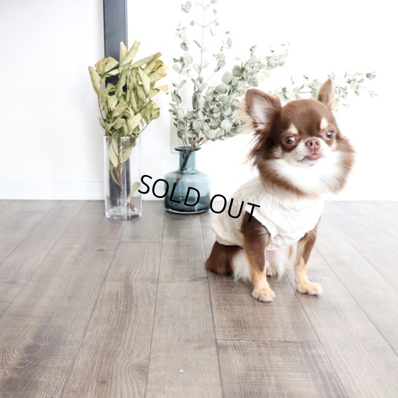 画像3: 【再販売】アランニットのハイネックノースリーブ（生成り） (3)