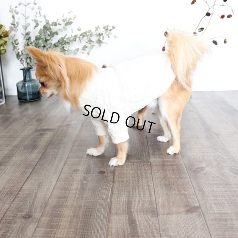 画像7: 【再販売】アランニットのハイネックカットソー（生成り） (7)