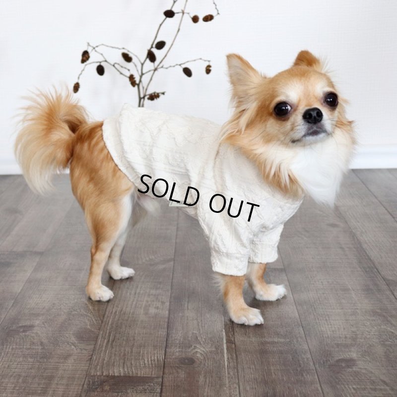 画像6: 【再販売】アランニットのハイネックカットソー（生成り） (6)