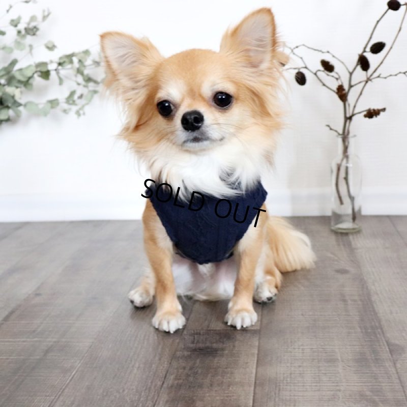 画像3: 【再販売】アランニットのハイネックノースリーブ(ネイビー) (3)