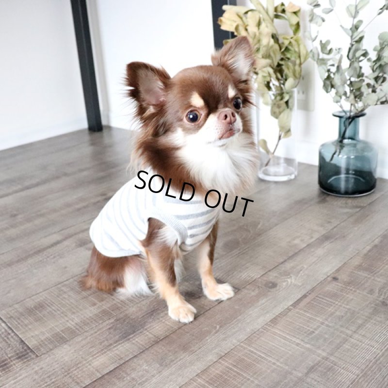 画像3: ボーダータンクトップ（グレー×生成り） (3)