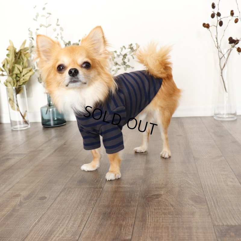 画像9: ボーダーハイネックカットソー(チャコールxネイビー) (9)