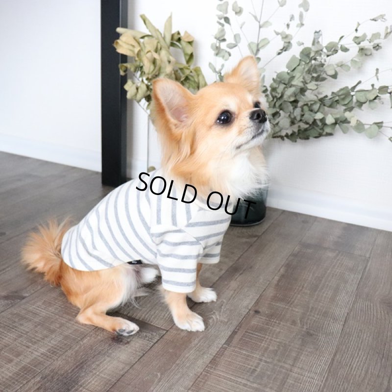 画像4: 【再販売】ボーダーハイネックカットソー（グレー×生成り） (4)