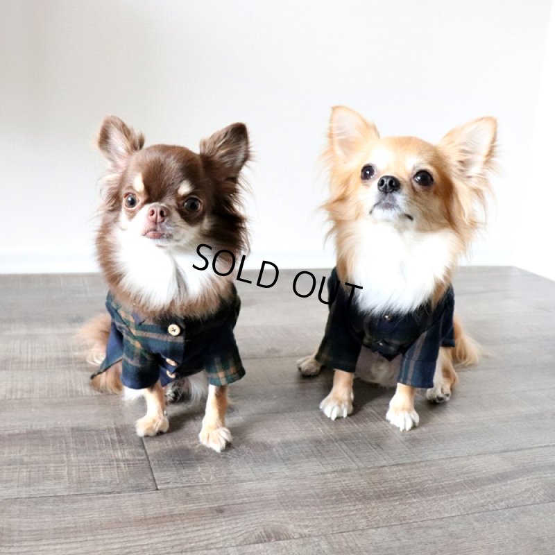 画像8: タータンチェックシャツ（グリーン） (8)