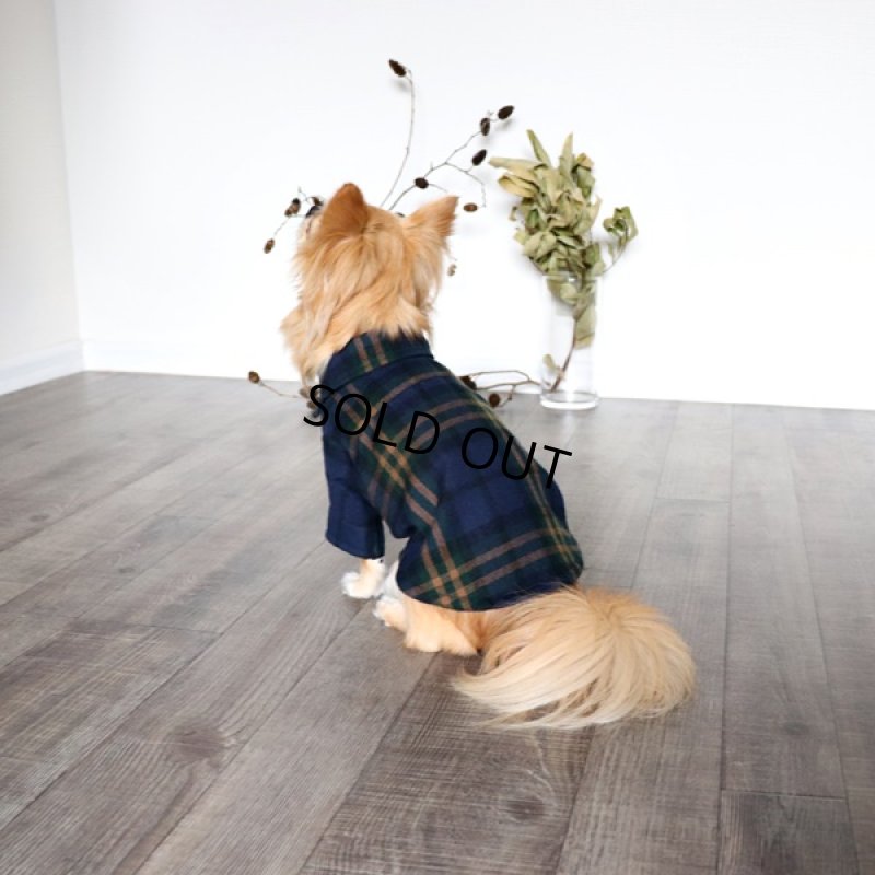 画像5: タータンチェックシャツ（グリーン） (5)