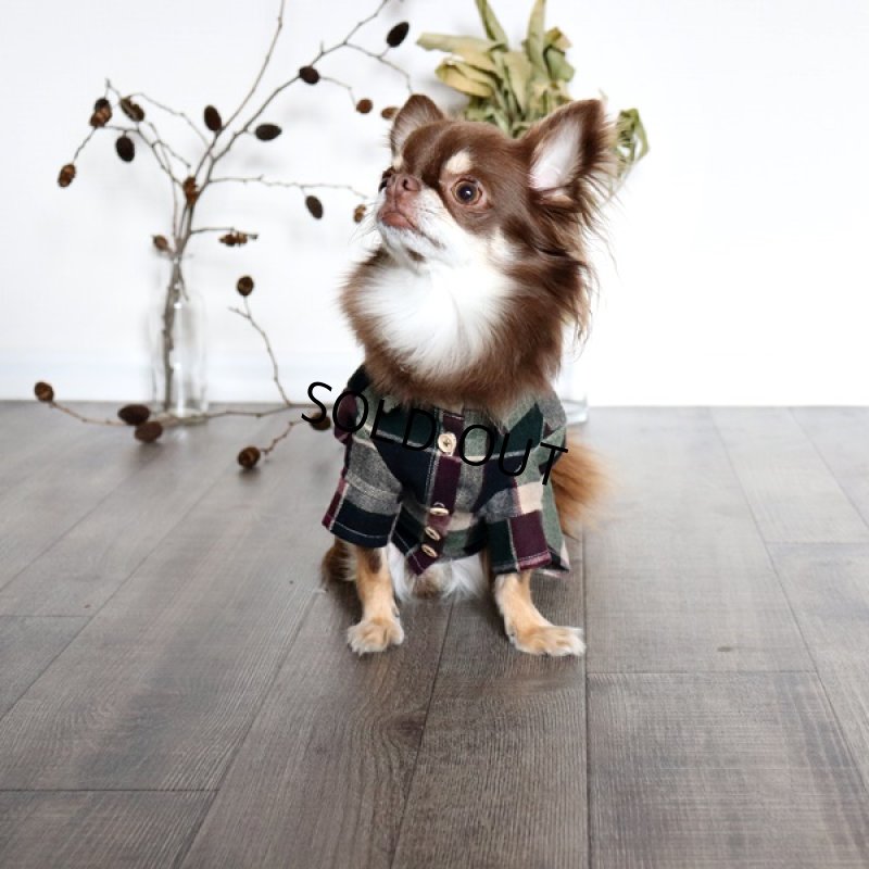 画像5: タータンチェックのシャツワンピース（ミックス） (5)