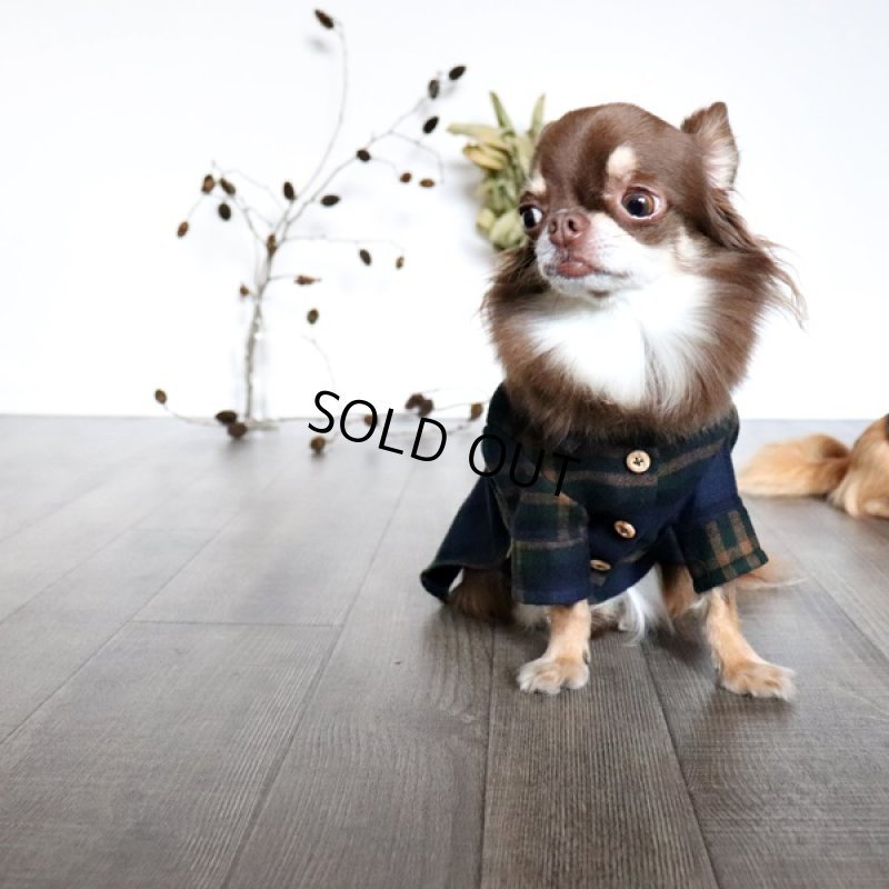 画像4: タータンチェックのシャツワンピース（グリーン） (4)