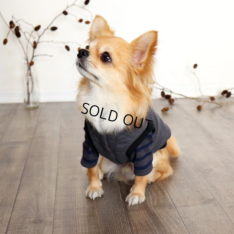 インナー：ボーダーハイネックカットソー（チャコールｘネイビー）