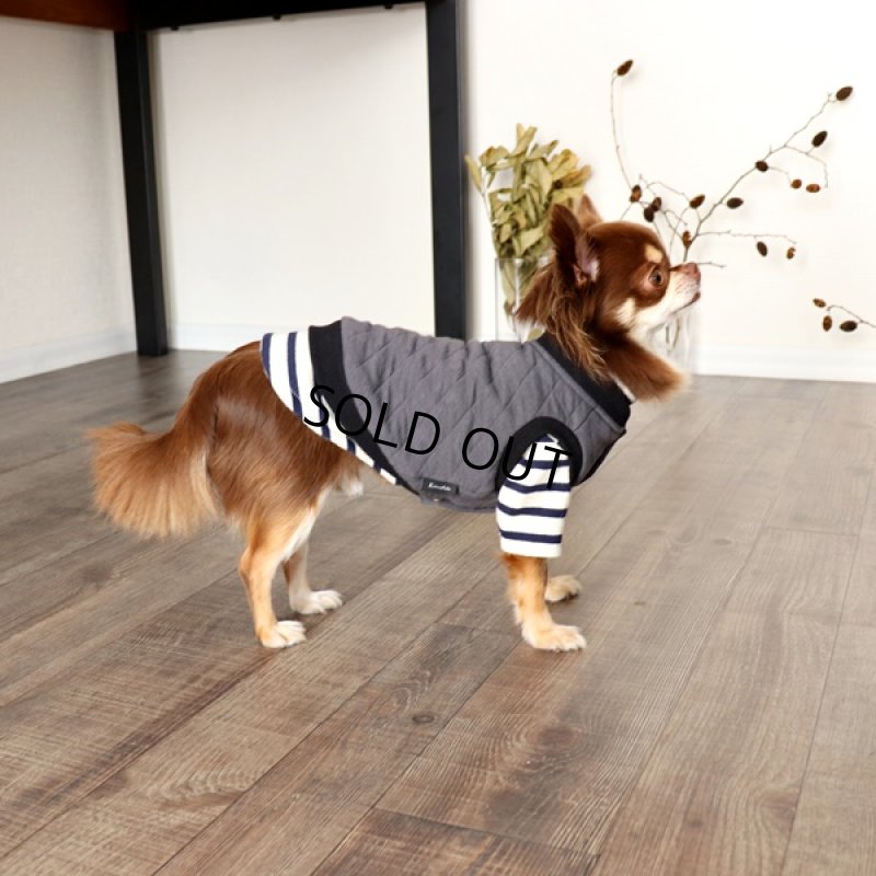 インナー：ボーダーハイネックカットソー（ネイビー×生成り）