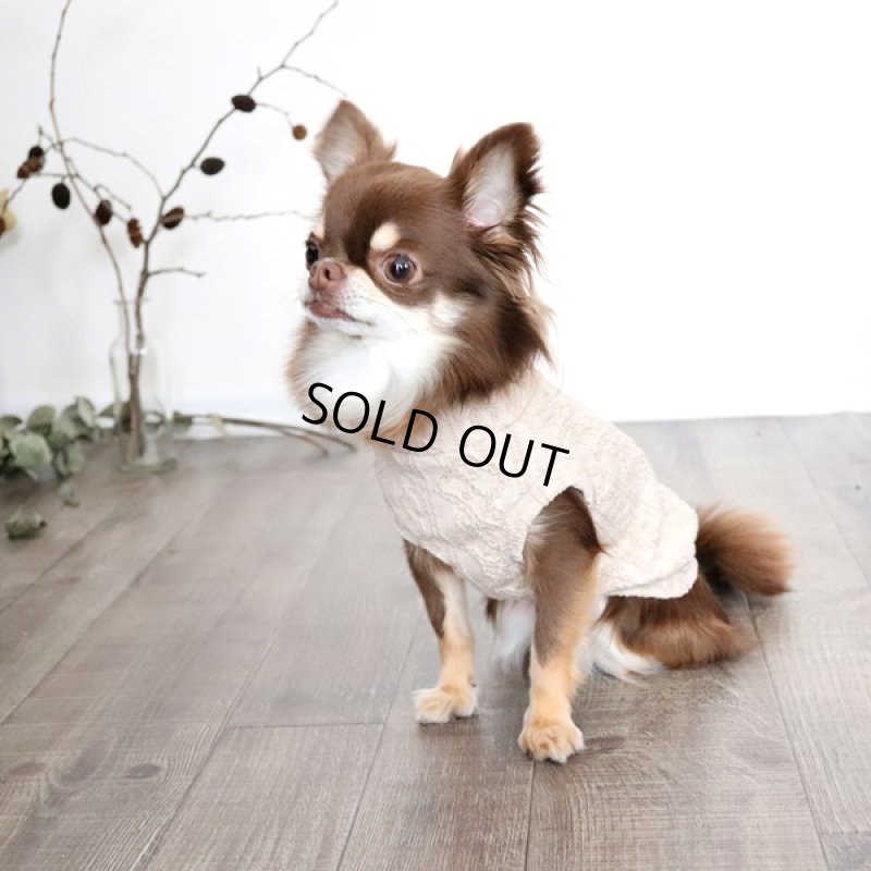 画像6: アランニットのハイネックノースリーブ（ミルクティ） (6)