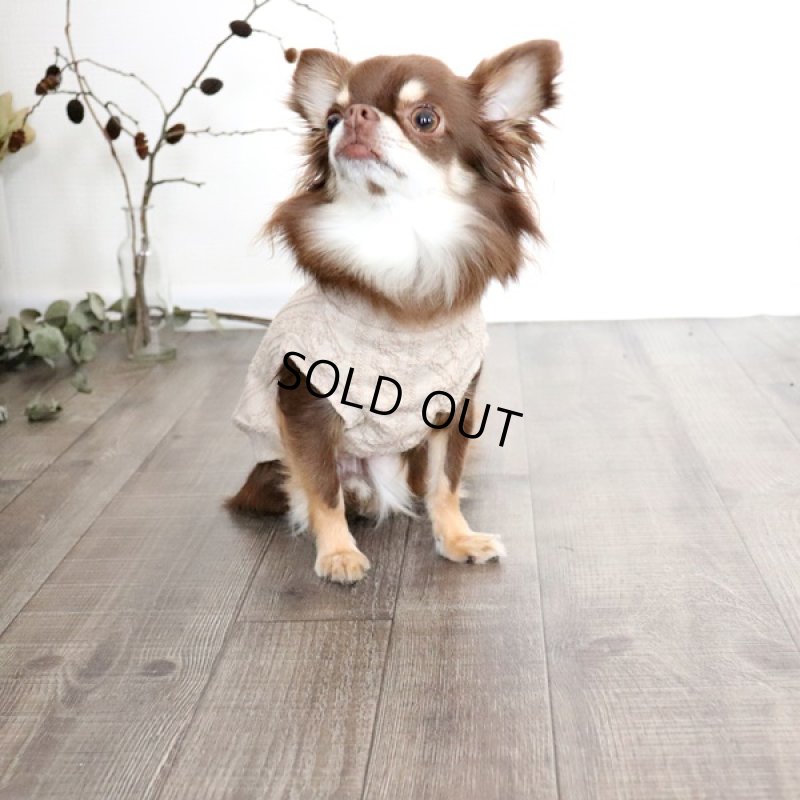 画像4: アランニットのハイネックノースリーブ（ミルクティ） (4)