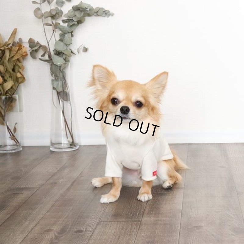 画像5: カモフラポケットつきカットソー（生成り×グレー） (5)