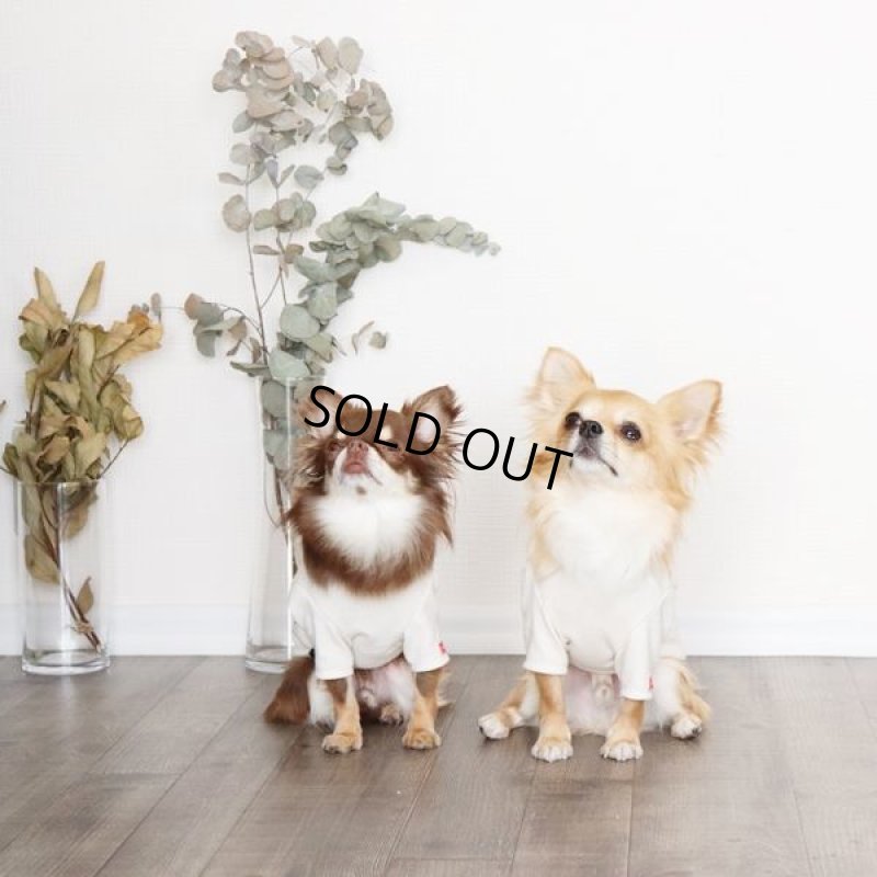 画像8: カモフラポケットつきカットソー（生成り×グレー） (8)