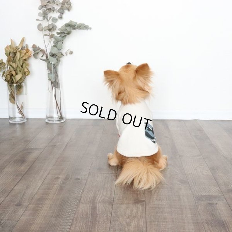 画像6: カモフラポケットつきカットソー（生成り×グレー） (6)