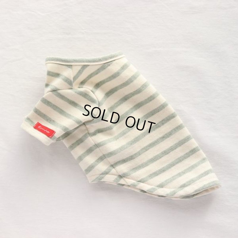 画像10: スモーキーボーダーカットソー（モスグリーン） (10)