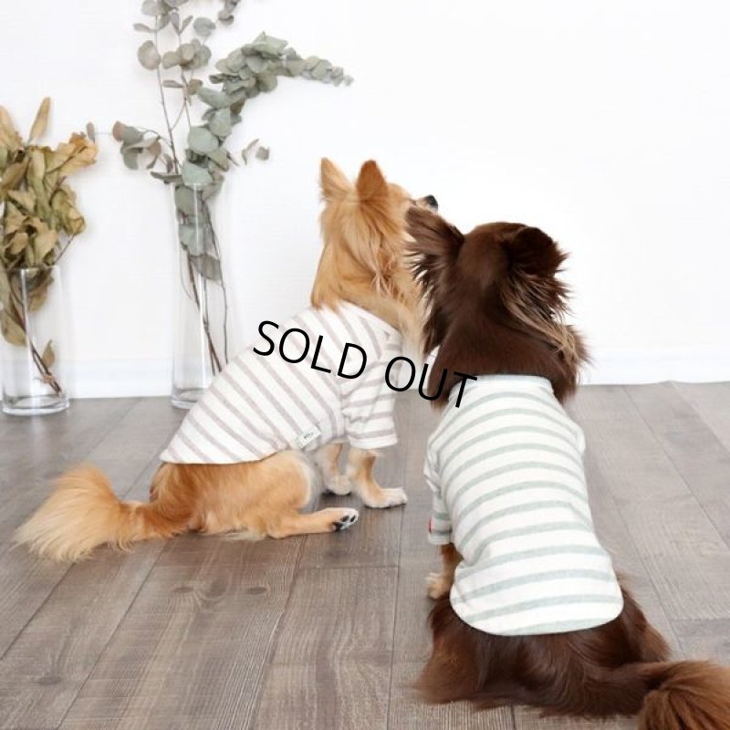 画像8: スモーキーボーダーカットソー（モスグリーン） (8)