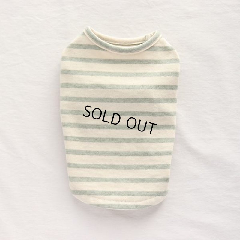 画像11: スモーキーボーダーカットソー（モスグリーン） (11)