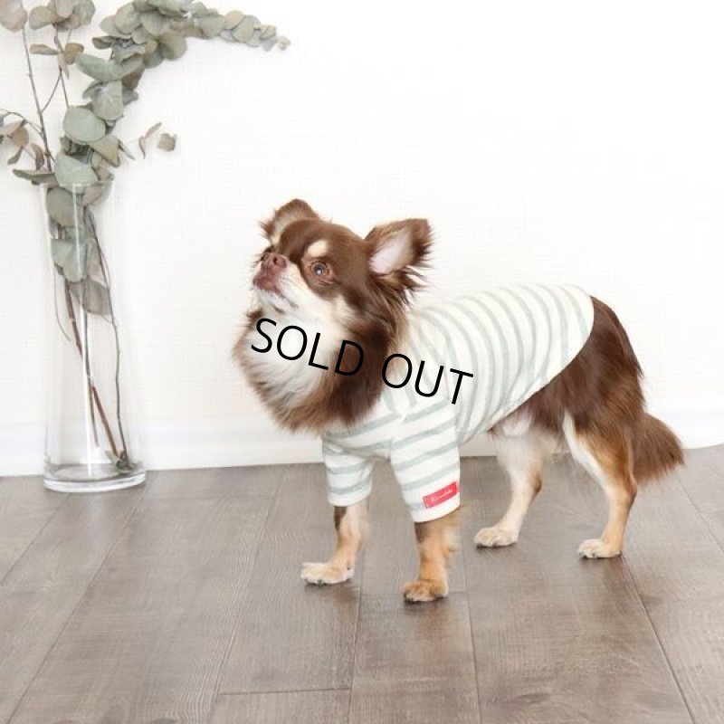 画像4: スモーキーボーダーカットソー（モスグリーン） (4)