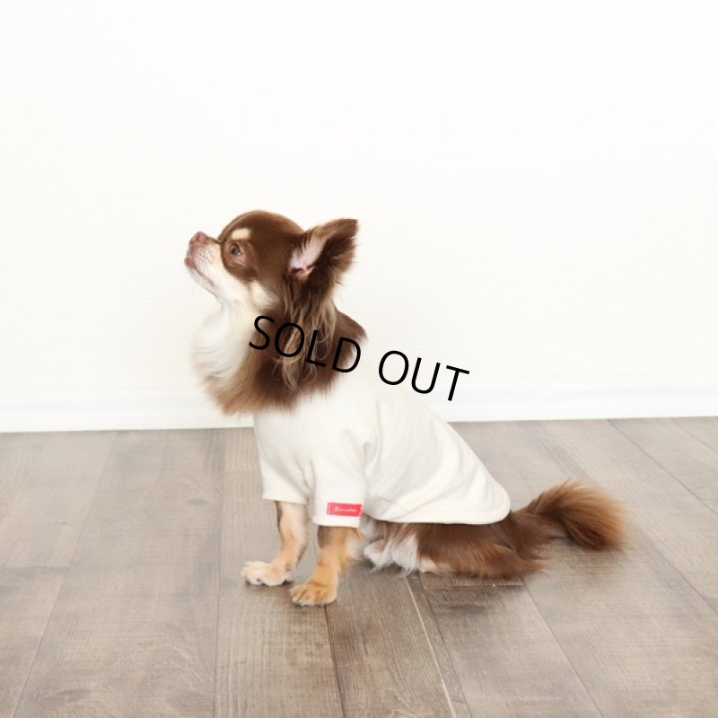 画像4: カモフラポケットつきカットソー（生成り×グリーン） (4)