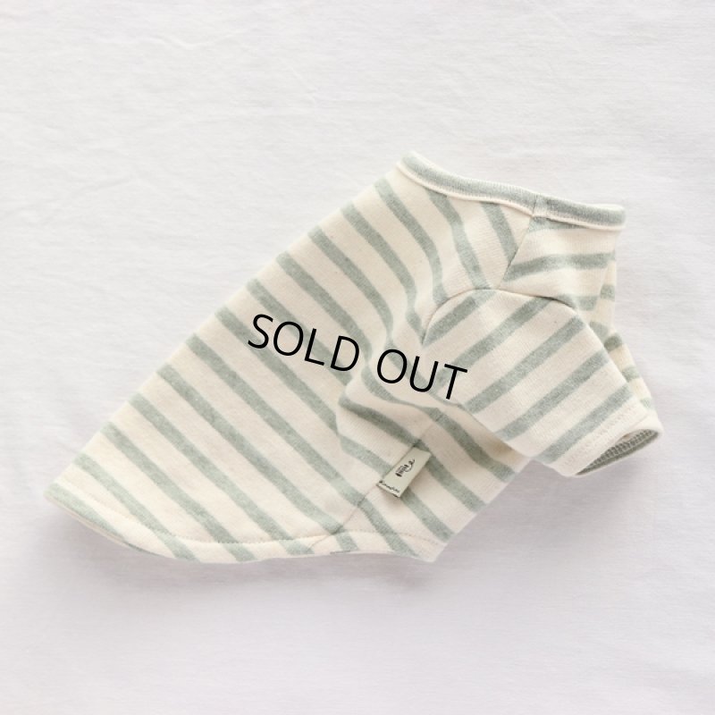 画像9: スモーキーボーダーカットソー（モスグリーン） (9)