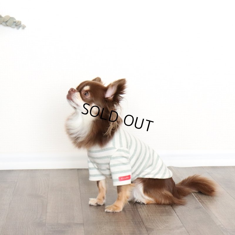 画像2: スモーキーボーダーカットソー（モスグリーン） (2)