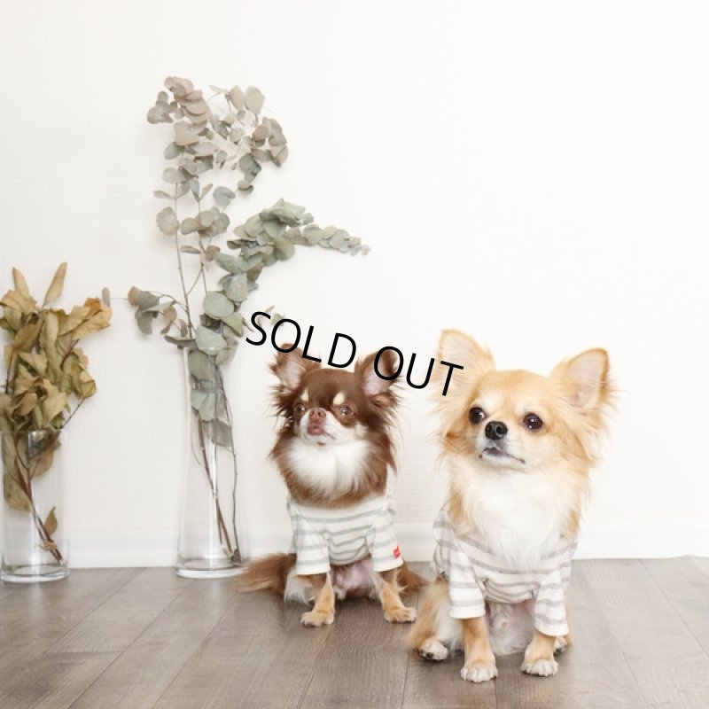 画像7: スモーキーボーダーカットソー（モスグリーン） (7)