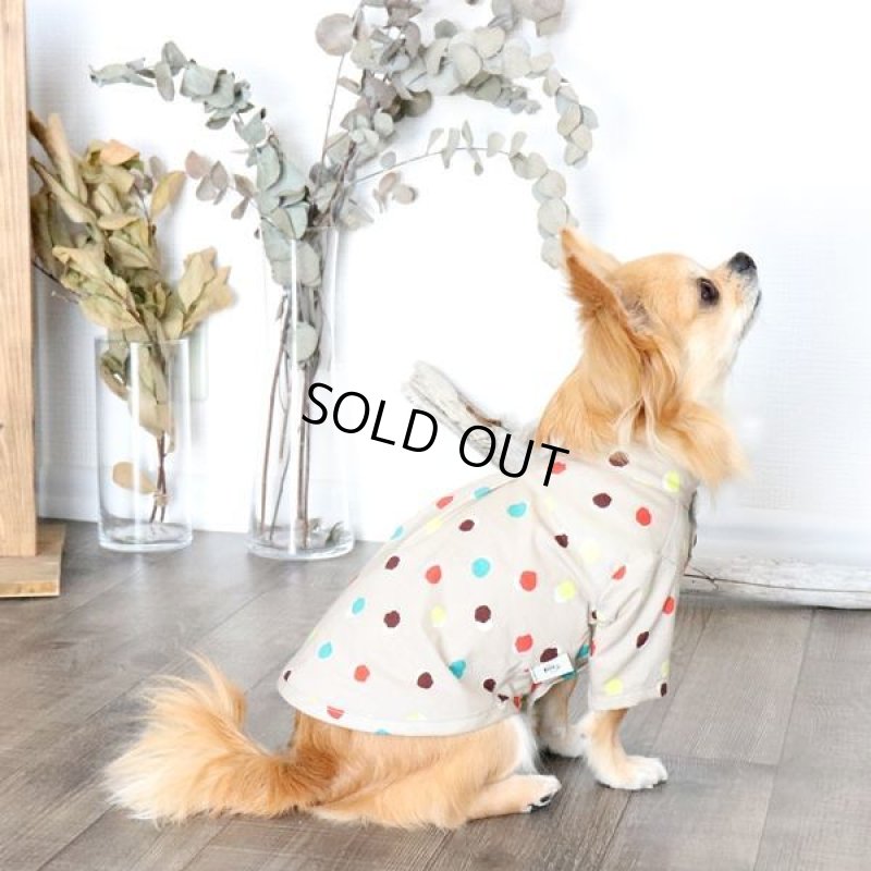 画像5: モダンドットシャツ(イエローベージュ) (5)