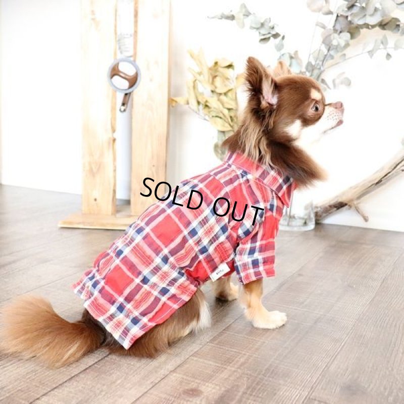 画像4: エアリーチェックのシャツワンピース（レッド） (4)