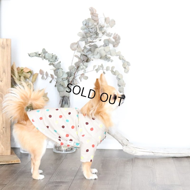 画像4: モダンドットシャツ(イエローベージュ) (4)