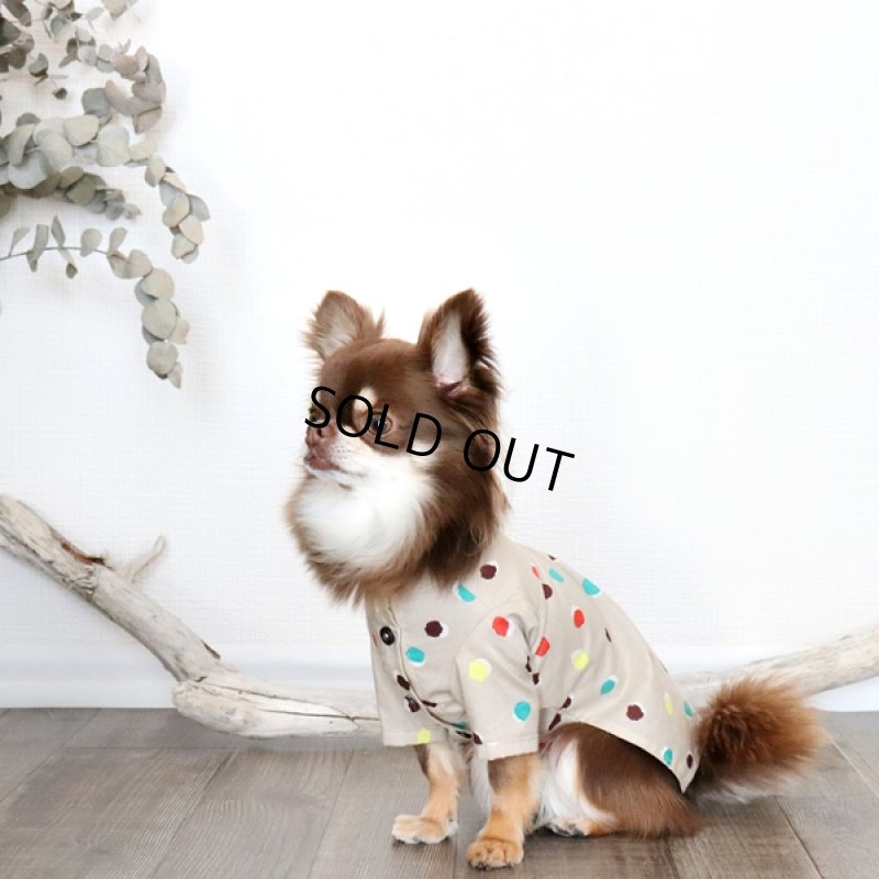 画像5: モダンドットのシャツワンピース（イエローベージュ） (5)