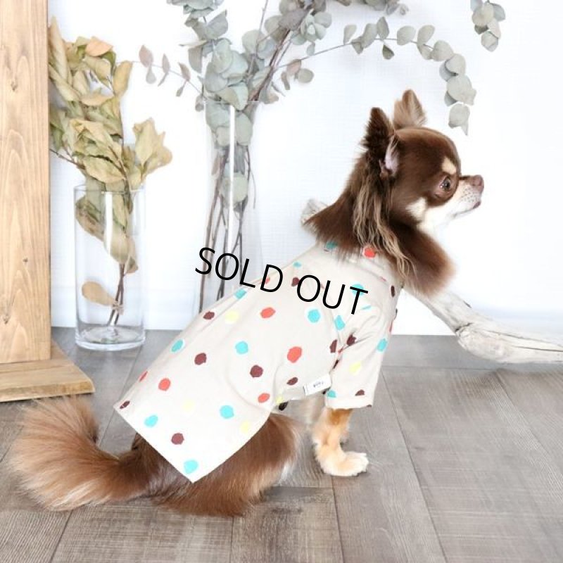 画像6: モダンドットのシャツワンピース（イエローベージュ） (6)