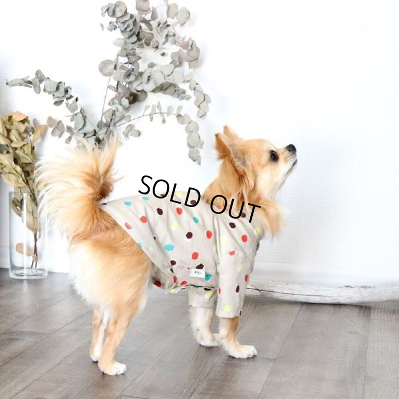 画像7: モダンドットシャツ(イエローベージュ) (7)