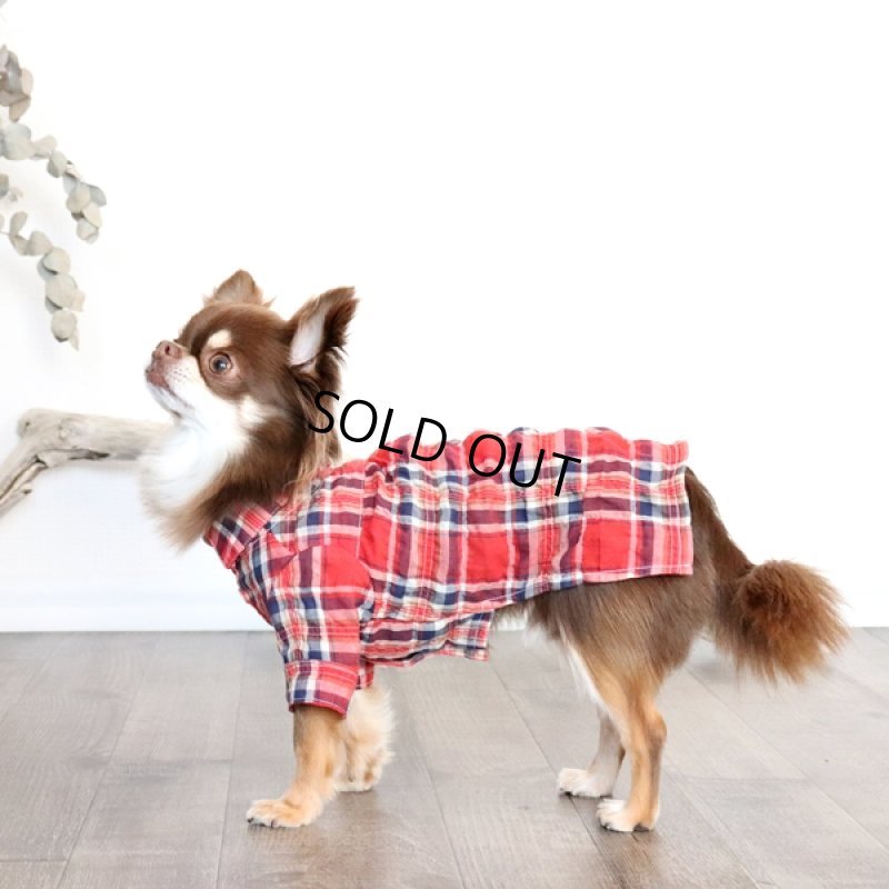 画像7: エアリーチェックのシャツワンピース（レッド） (7)