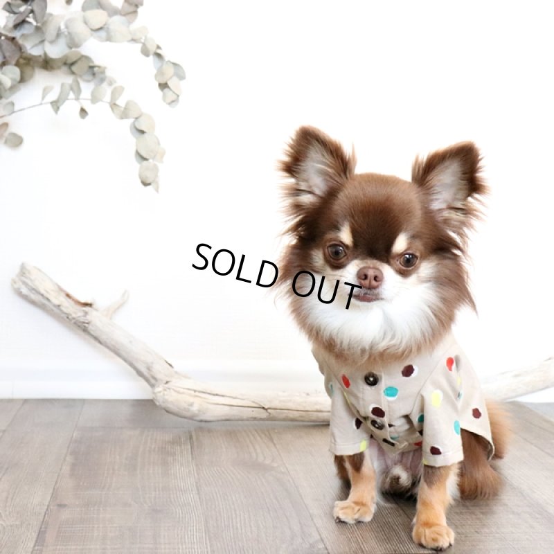 画像2: モダンドットのシャツワンピース（イエローベージュ） (2)