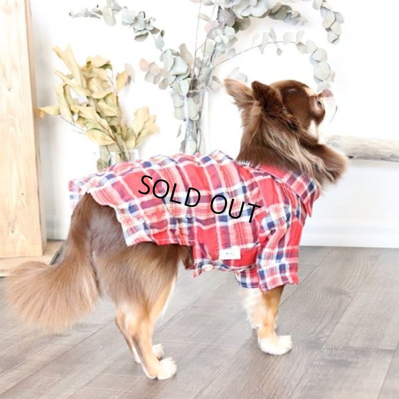 画像5: エアリーチェックのシャツワンピース（レッド） (5)