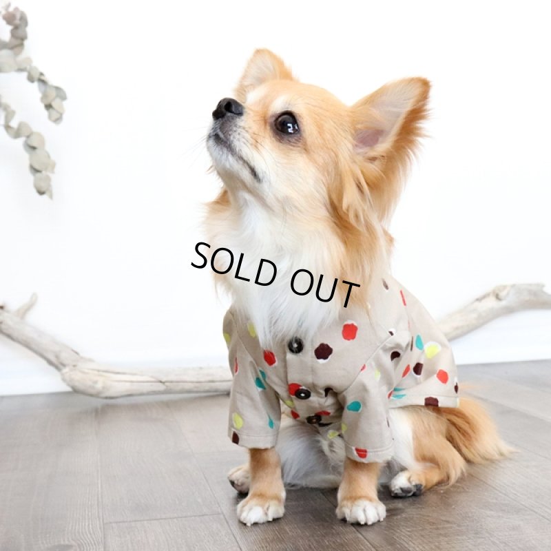 画像3: モダンドットシャツ(イエローベージュ) (3)