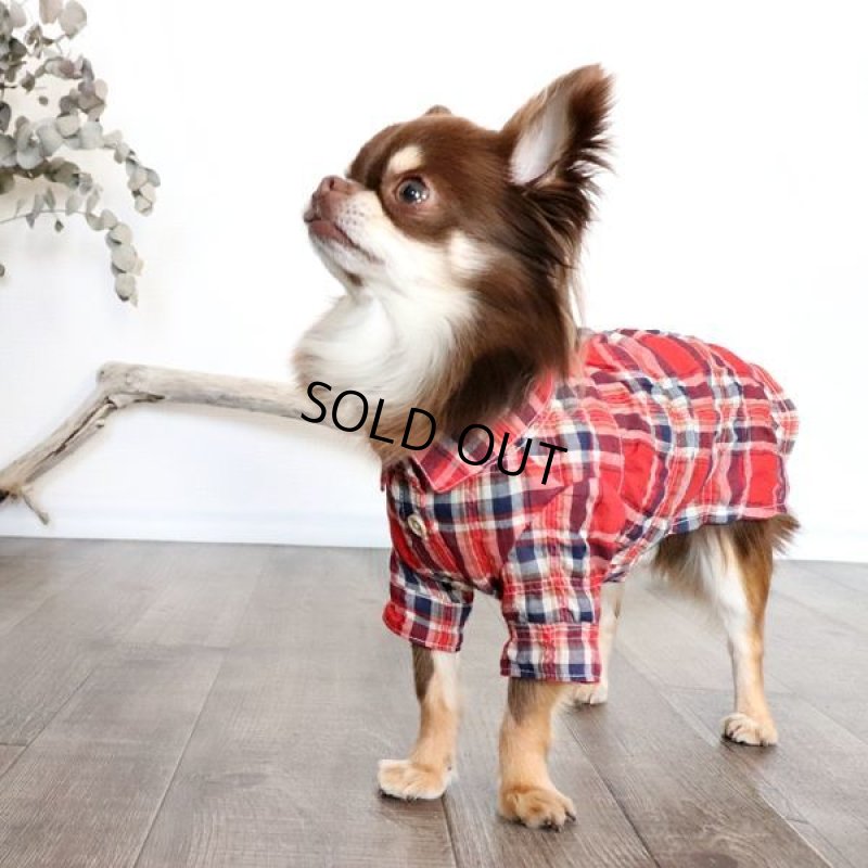 画像3: エアリーチェックのシャツワンピース（レッド） (3)